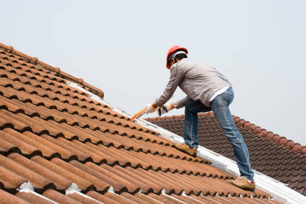 Reliable Graysville, AL  Roofing repair and installation Solutions